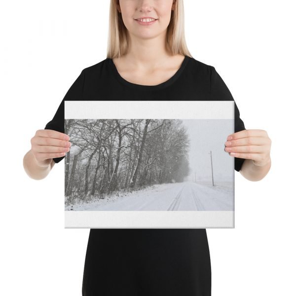 Winter Photo on Canvas