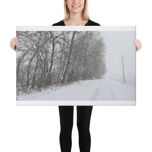 Winter Photo on Canvas - Image 4